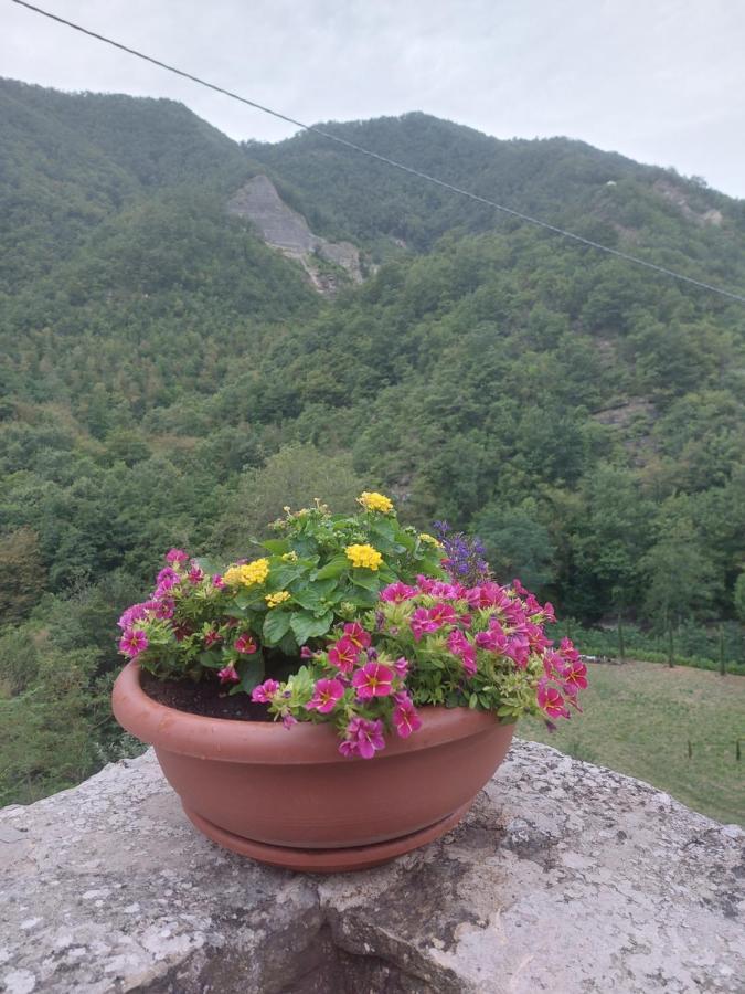 B&B Donnini Firenzuola Exteriér fotografie