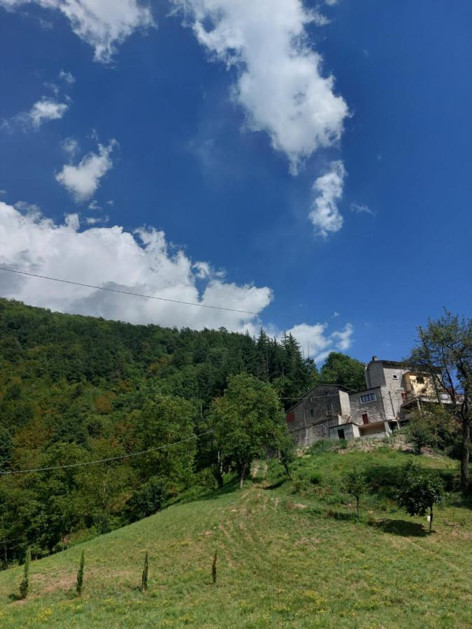 B&B Donnini Firenzuola Exteriér fotografie